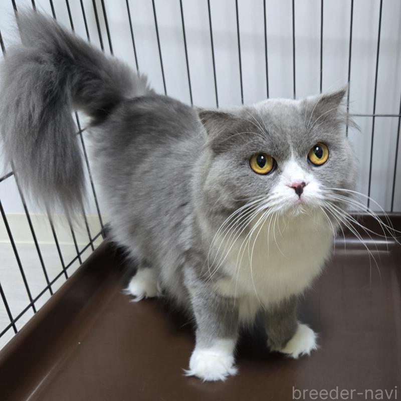 あおいちゃん1枚目
