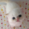 オンライン見学