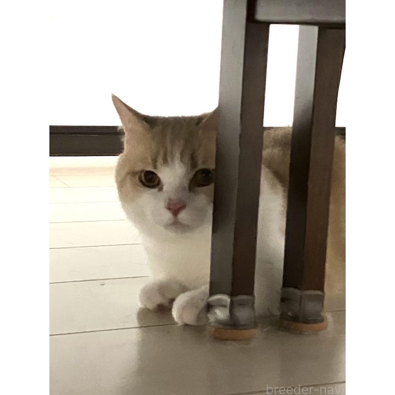 くん1枚目