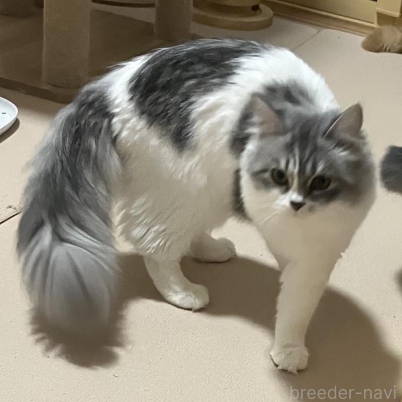 ちゃん1枚目