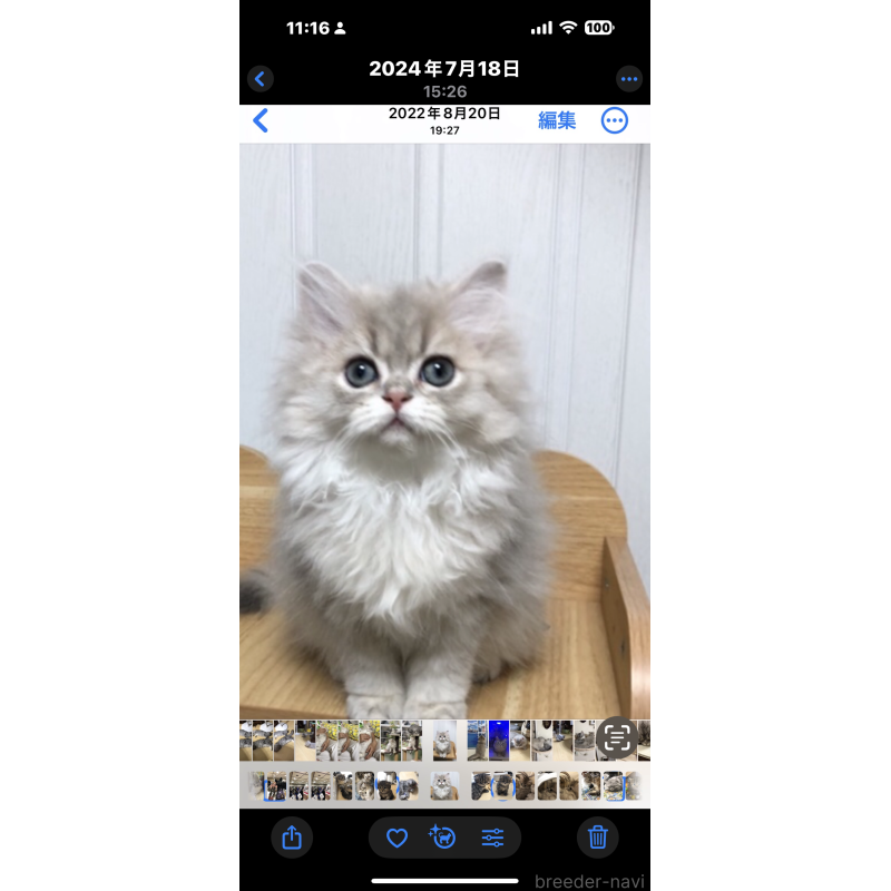 くん1枚目