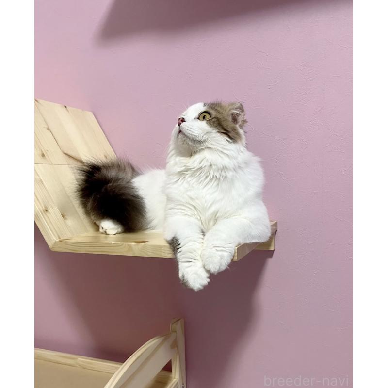 くん1枚目