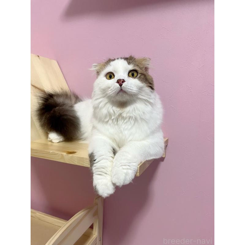 くん1枚目