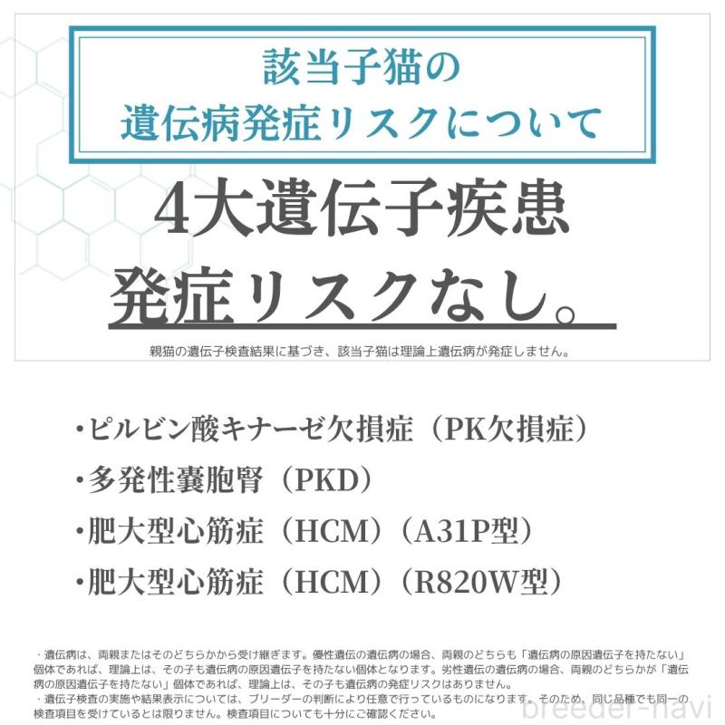 販売中の神奈川県のサイベリアン-126023の6枚目