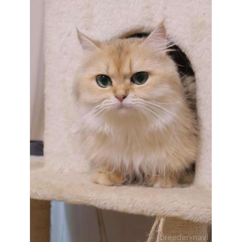 Tietieちゃん1枚目