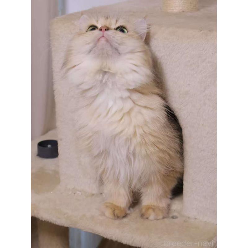 Tietieちゃん1枚目