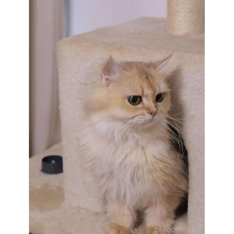 Tietieちゃん1枚目
