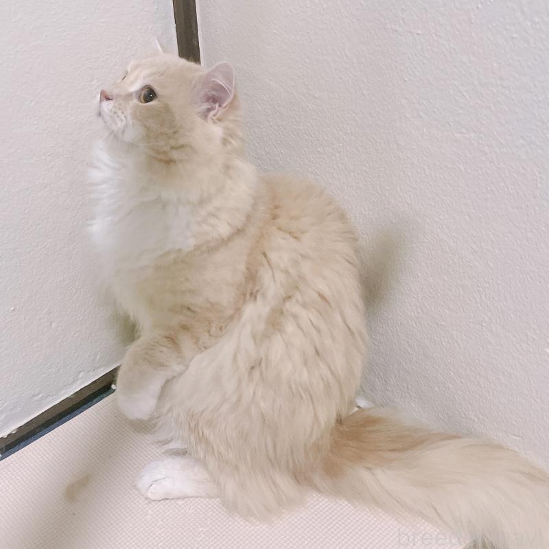 くん1枚目
