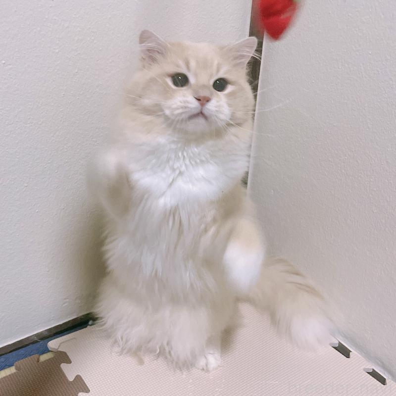 くん1枚目