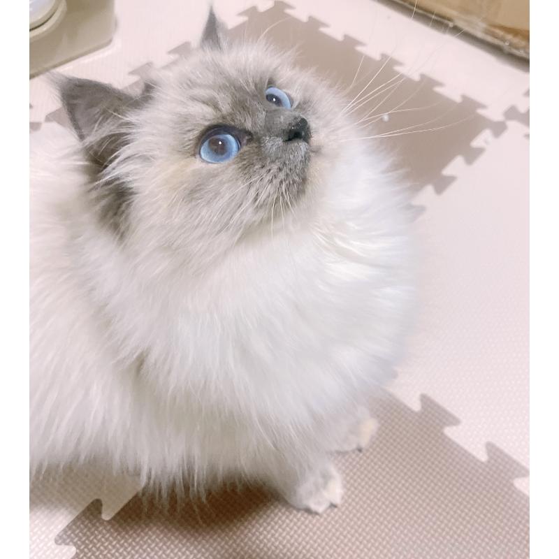 ちゃん1枚目