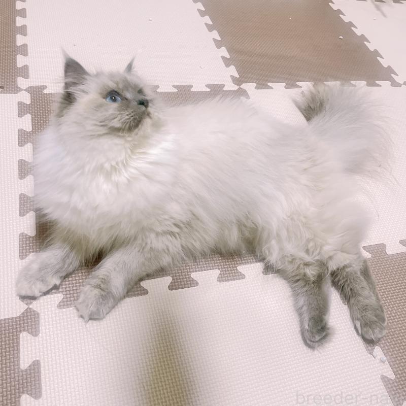 ちゃん1枚目