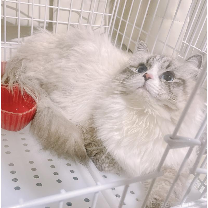 ちゃん1枚目
