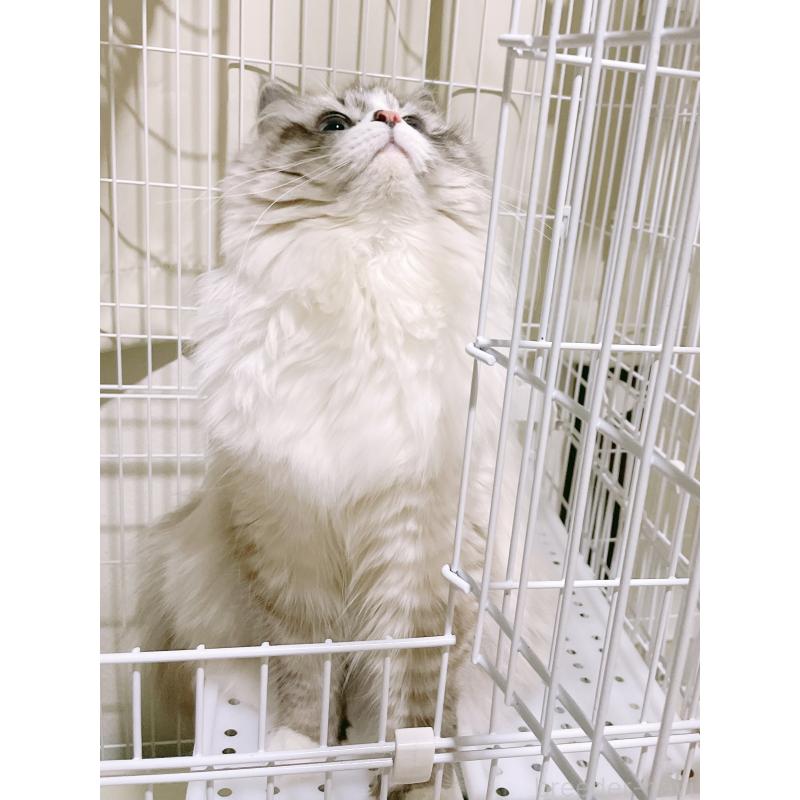 ちゃん1枚目