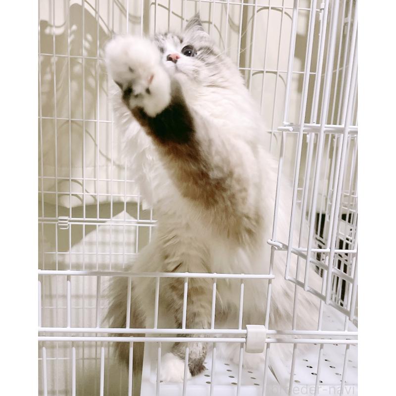 ちゃん1枚目