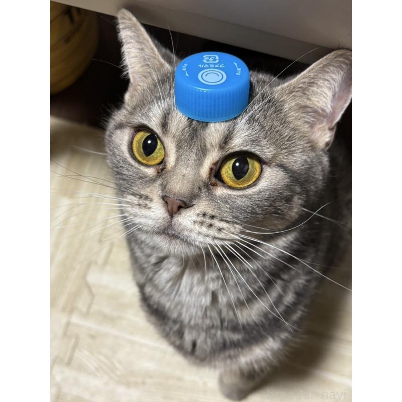 ちゃん1枚目