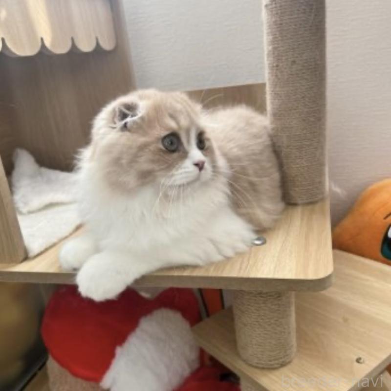 ミカエルくん1枚目
