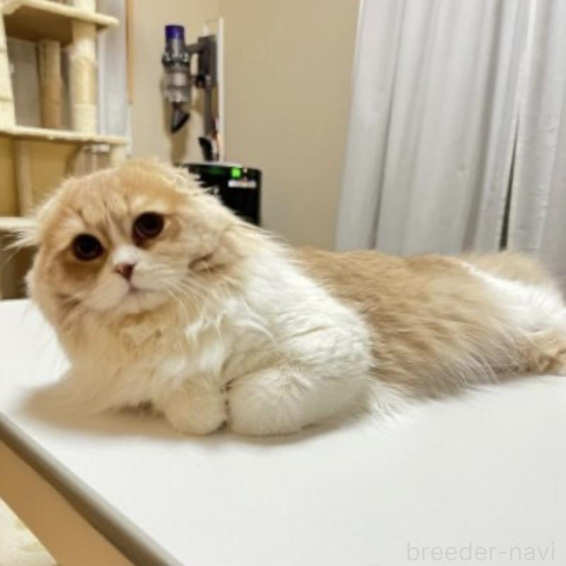 ミカエルくん1枚目