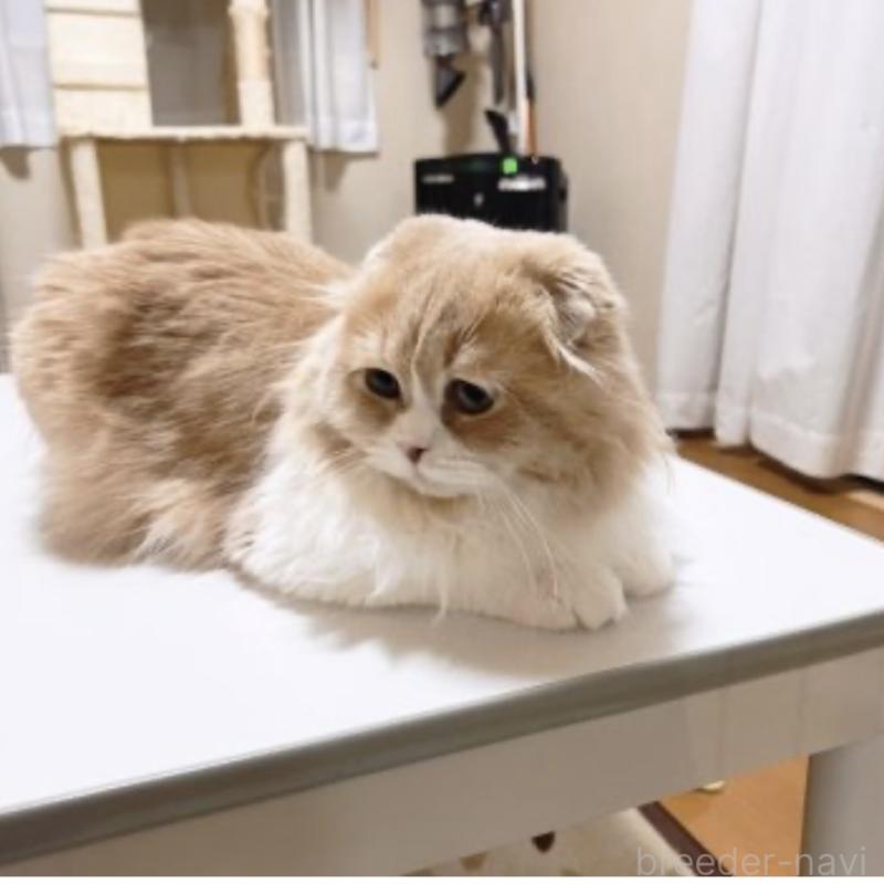 ミカエルくん1枚目