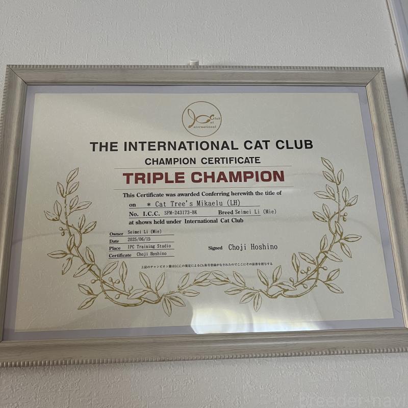 ミカエルくん1枚目