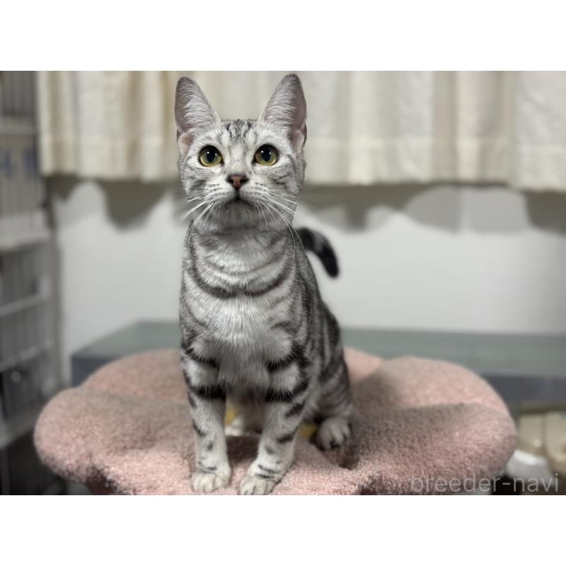 グーちゃん1枚目