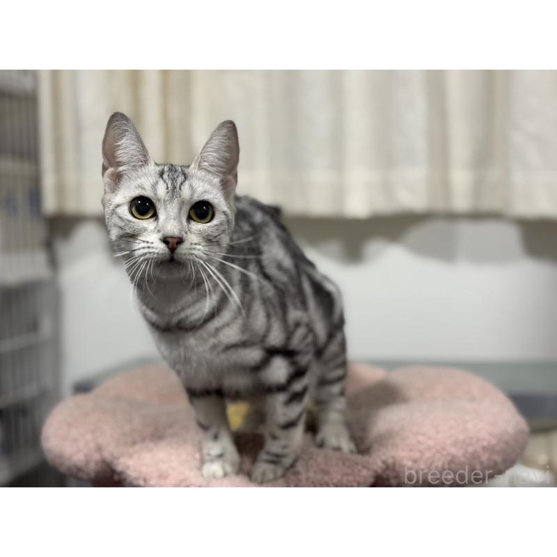 グーちゃん1枚目
