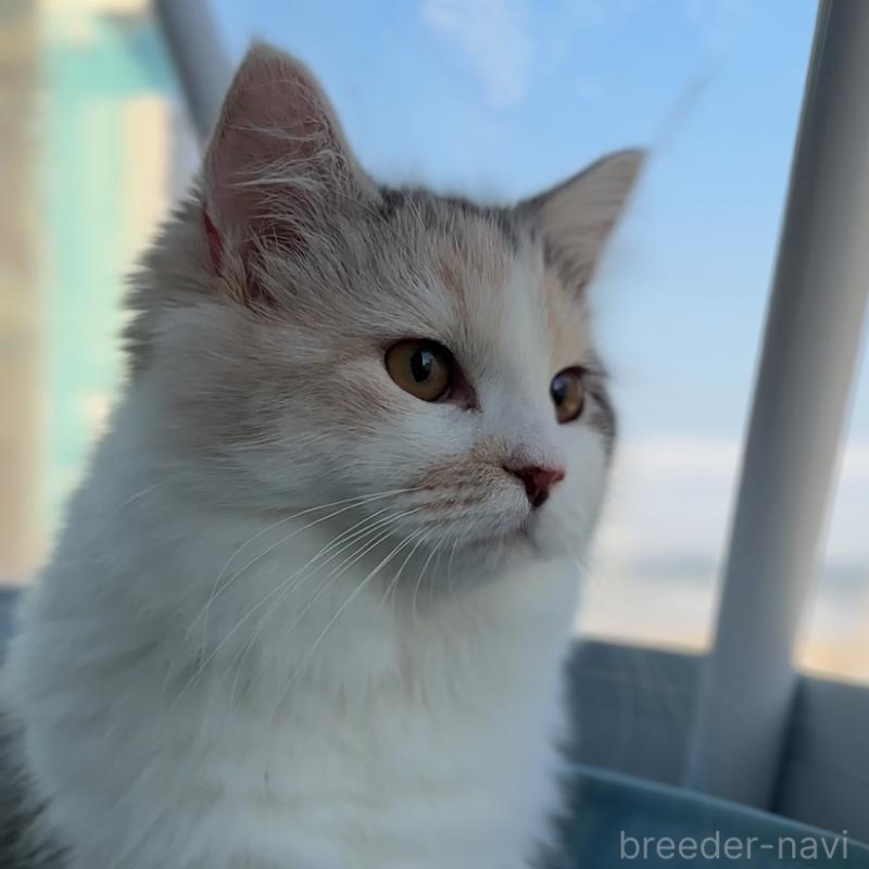 ふくまめちゃん1枚目