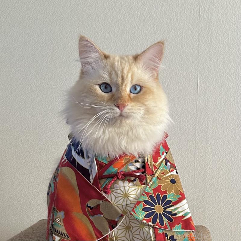 くりーむくん1枚目