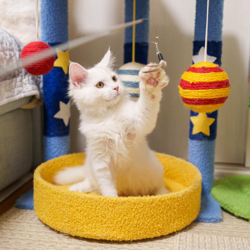 成約済の大阪府のサイベリアン-125809の5枚目