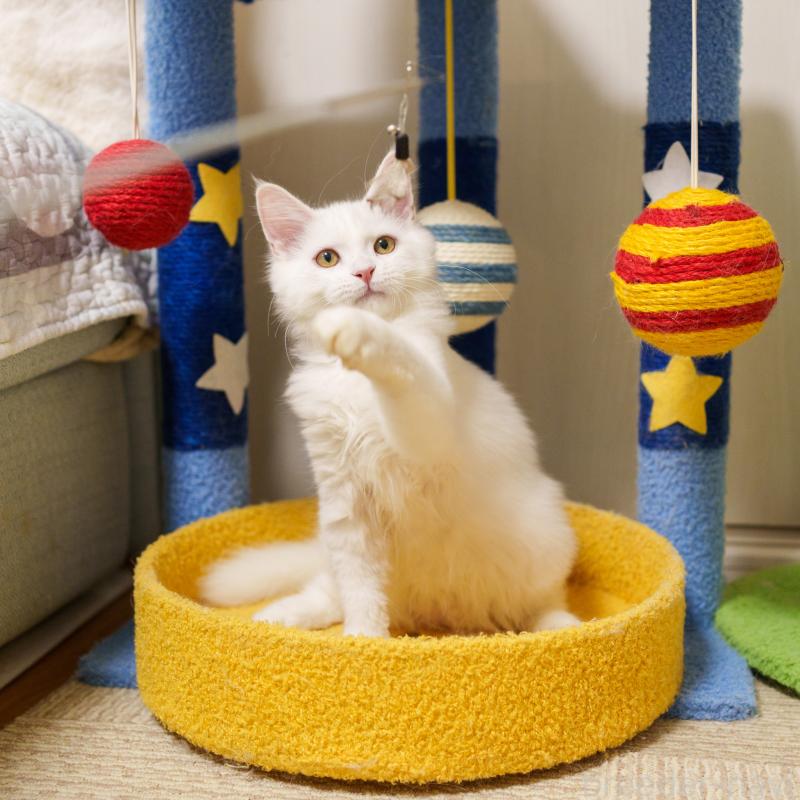 成約済の大阪府のサイベリアン-125809の3枚目