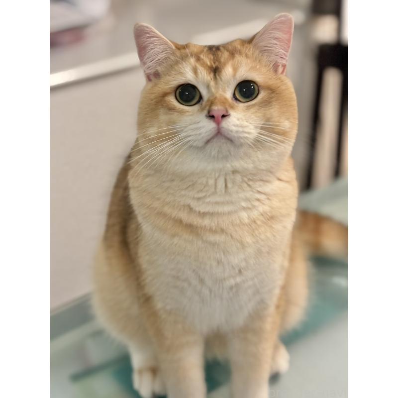 ぽん太くん1枚目