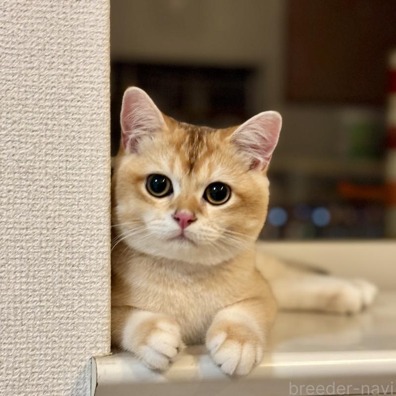 ぽん太くん1枚目