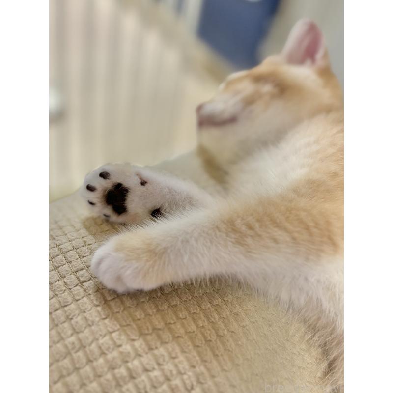 ぽん太くん1枚目