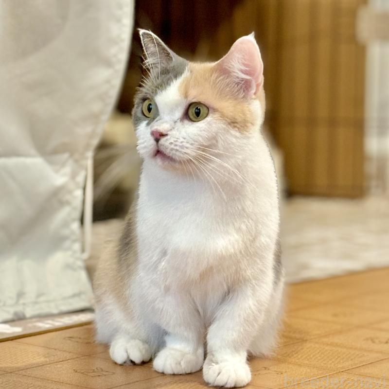 チルちゃん1枚目