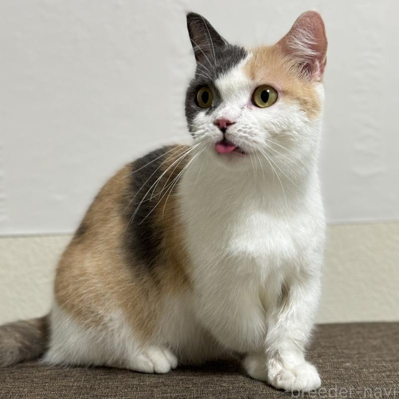 チルちゃん1枚目