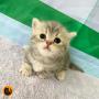 オンライン見学