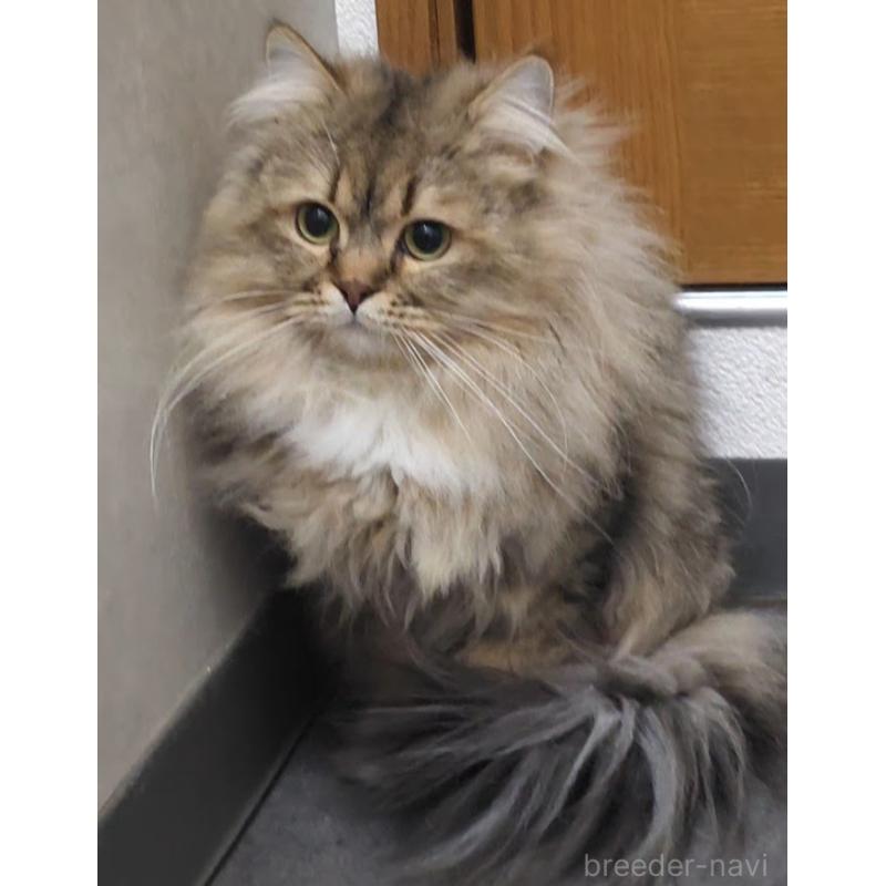 チョコくん1枚目