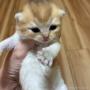 オンライン見学