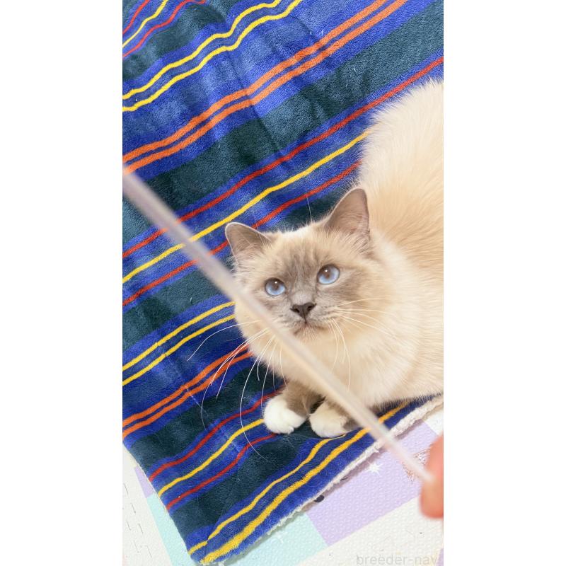 デニース(Denys)くん1枚目