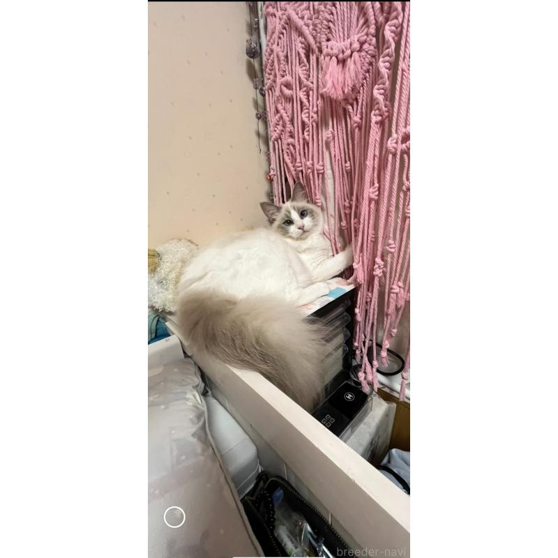 ナナちゃんちゃん1枚目