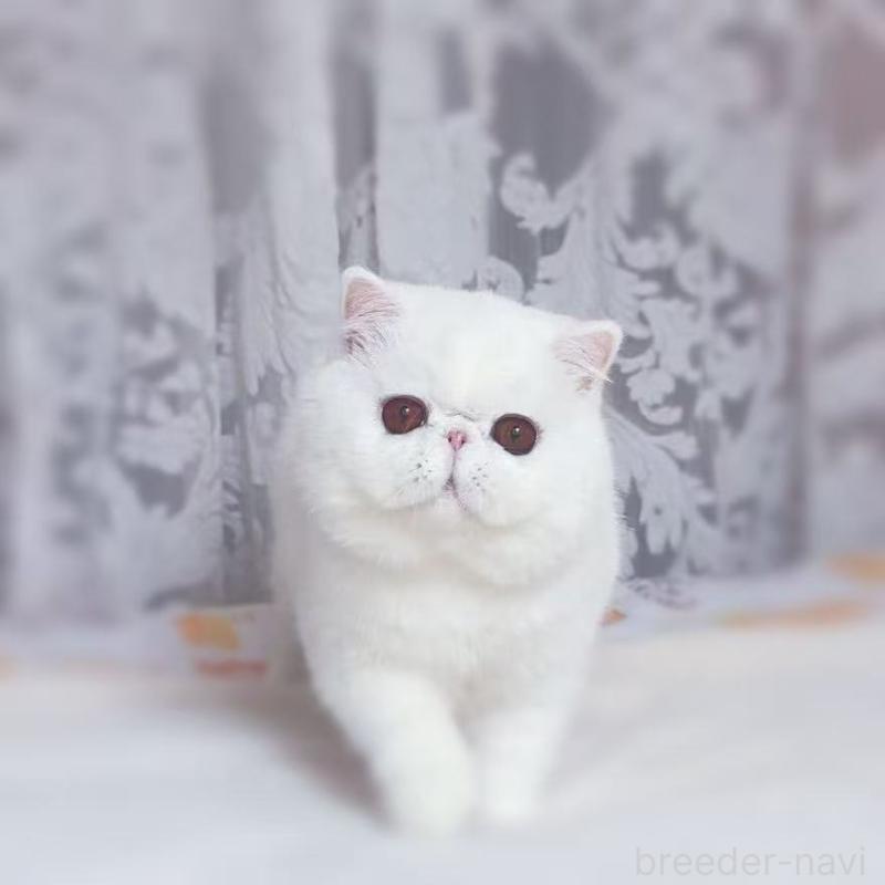 Luckyくんくん1枚目