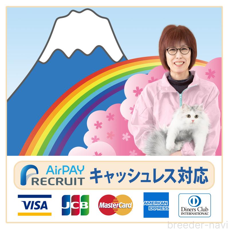 販売中の三重県のサイベリアン-129048の2枚目
