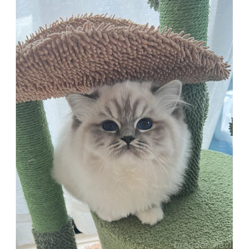 マンニちゃん1枚目
