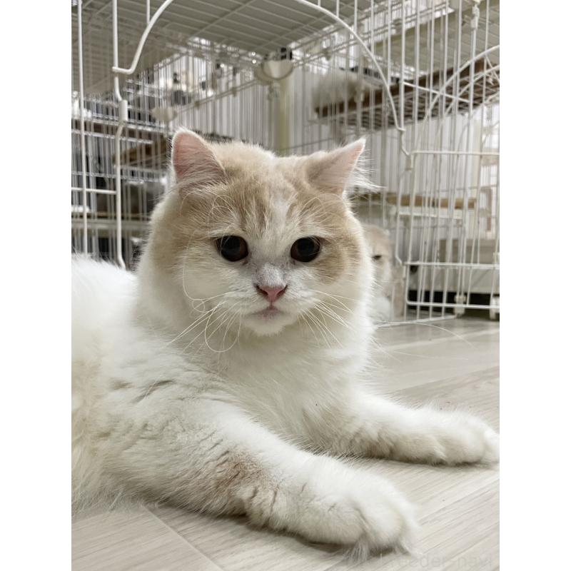 さくらちゃん1枚目