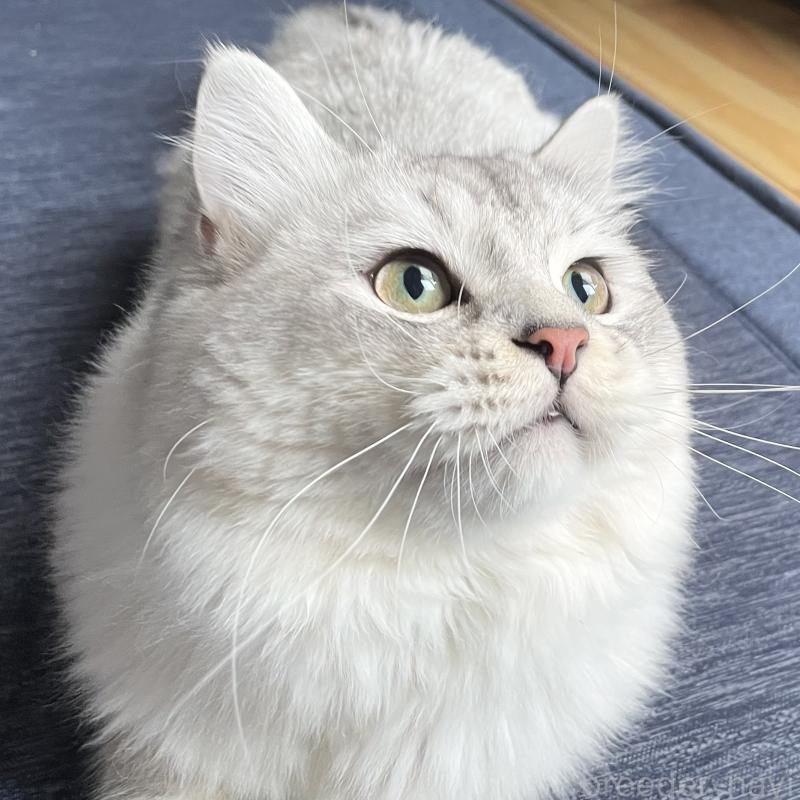 まれくん1枚目
