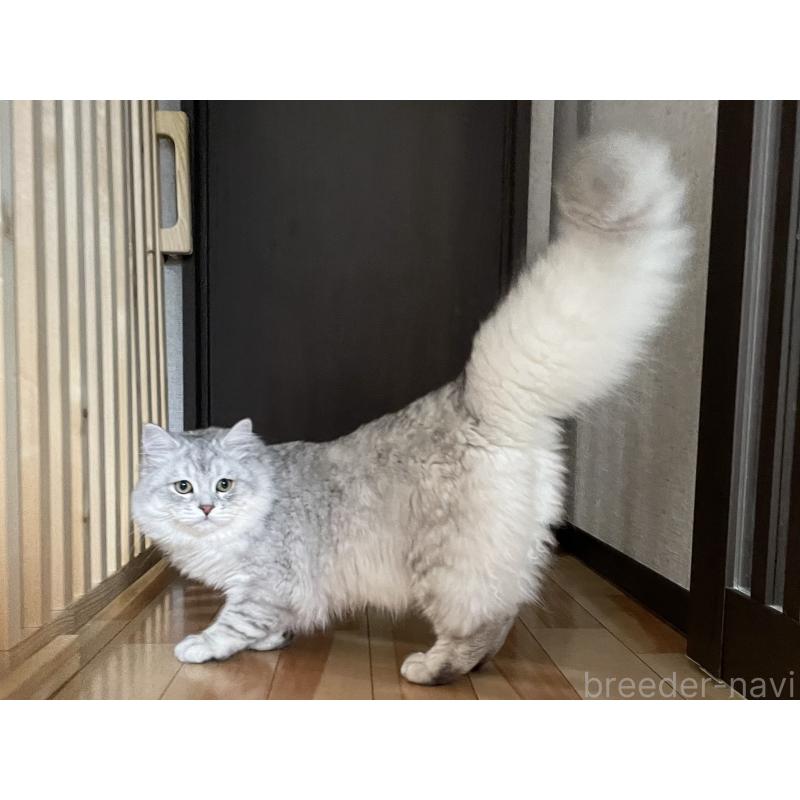 まれくん1枚目