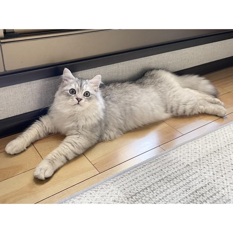 まれくん1枚目