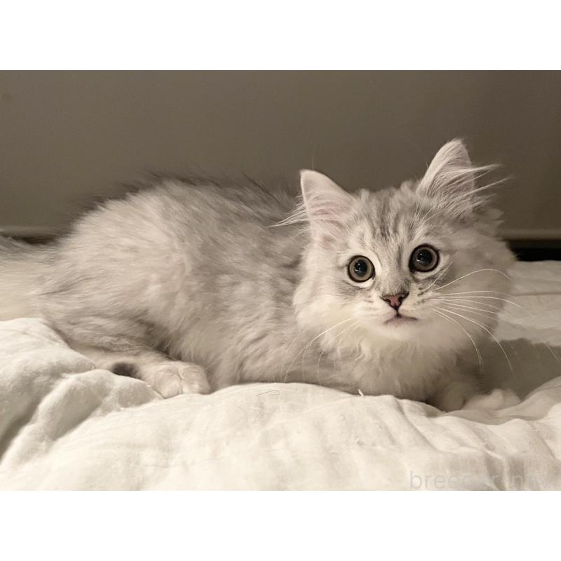 まれくん1枚目