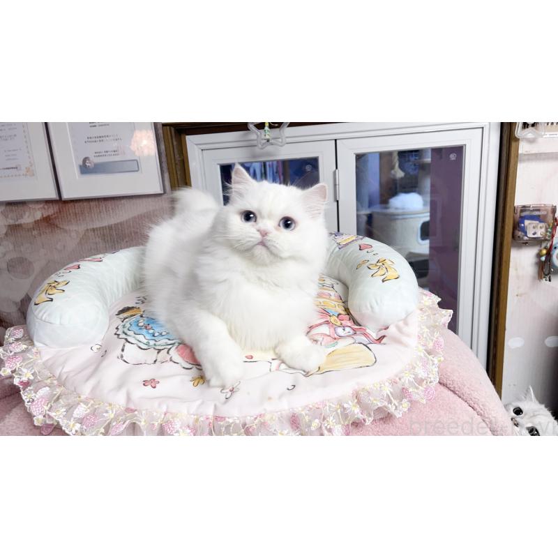 laimiちゃん1枚目