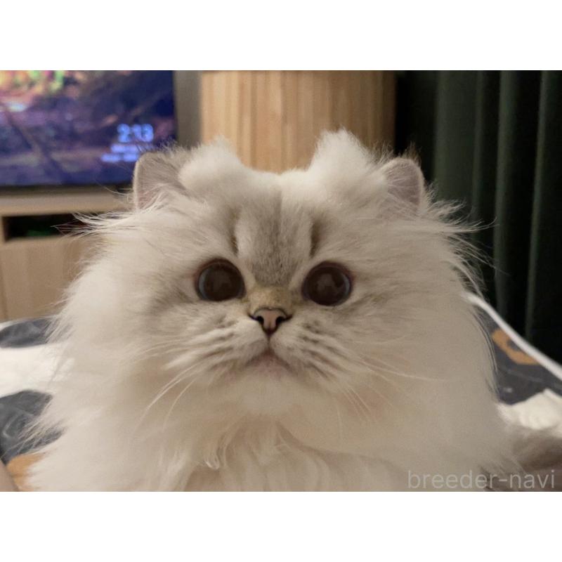 ベラちゃん1枚目