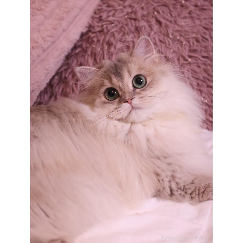 ケイミちゃん1枚目